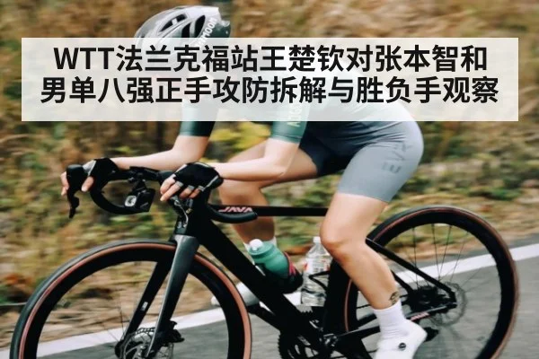 WTT法兰克福站王楚钦对张本智和男单八强正手攻防拆解与胜负手观察